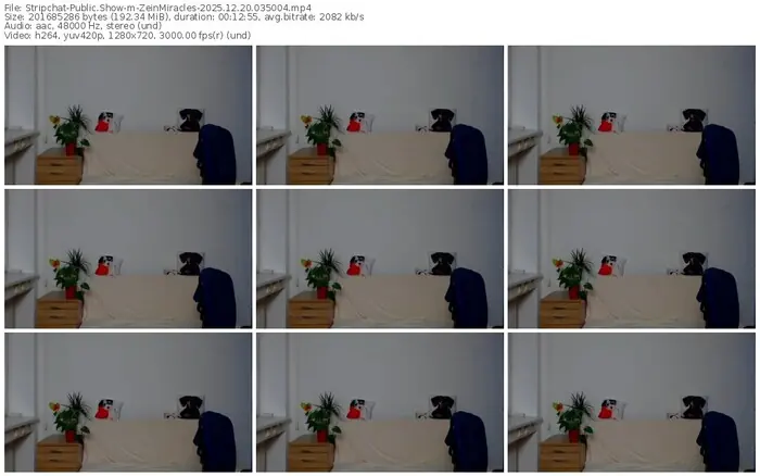 stripchat-zeinmiracles-12-20-2025-03-50-04