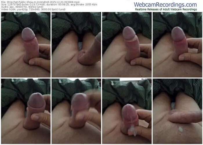 stripchat-minnetird-12-20-2025-09-39-08