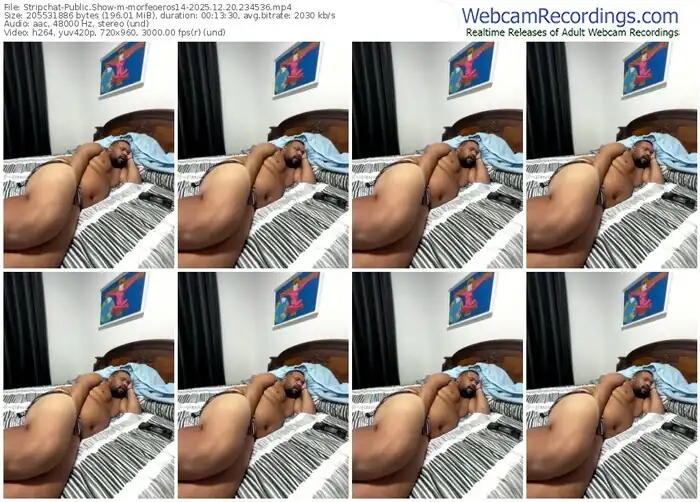 stripchat-morfeoeros14-12-20-2025-23-45-36