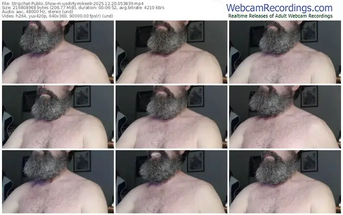 stripchat-usdirtymikee9-12-20-2025-05-38-39