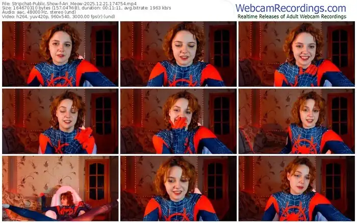 stripchat-ari_meow-12-21-2025-17-47-54