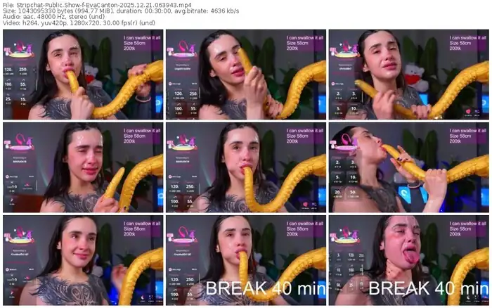 stripchat-evacanton-12-21-2025-06-39-43
