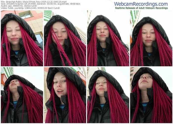 stripchat-frost_foxy-12-21-2025-04-41-23