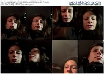 stripchat-goldenpussy1329-12-21-2025-01-17-20