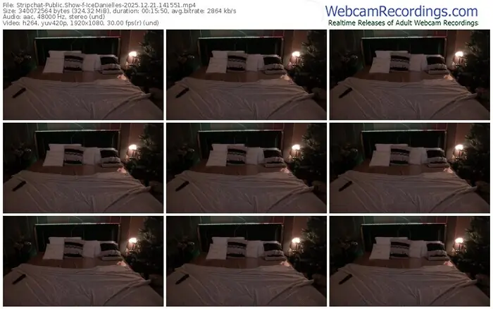 stripchat-icedanielles-12-21-2025-14-15-51