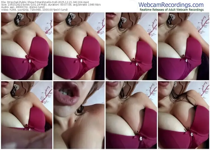 stripchat-marshmello-doll-12-21-2025-04-11-04