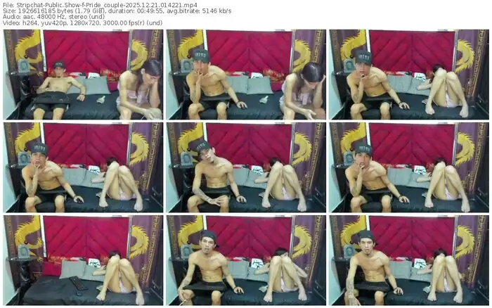 stripchat-pride_couple-12-21-2025-01-42-21