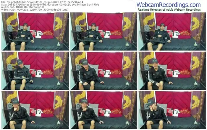 stripchat-pride_couple-12-21-2025-04-15-58