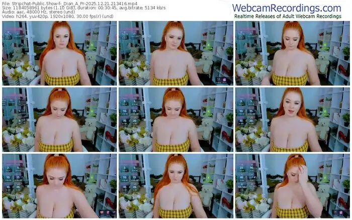 stripchat-_dian_a_pr-12-21-2025-21-34-16