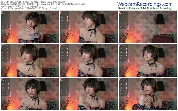 stripchat-sandzu_-12-21-2025-02-34-20