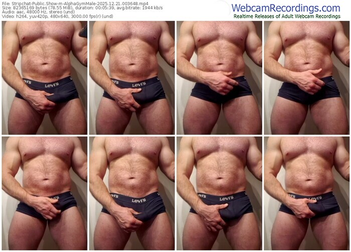 stripchat-alphagymmale-12-21-2025-00-36-48