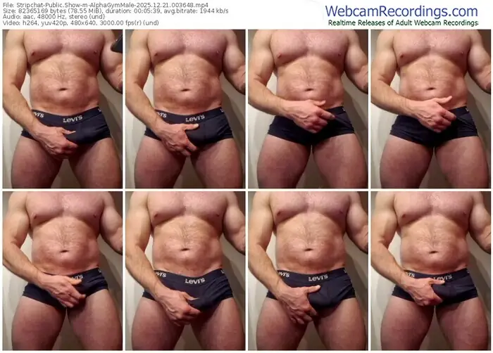 stripchat-alphagymmale-12-21-2025-00-36-48
