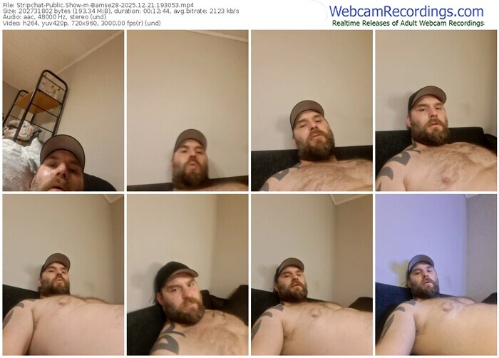 stripchat-bamse28-12-21-2025-19-30-53