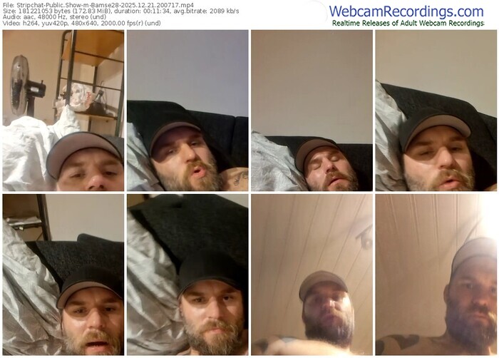 stripchat-bamse28-12-21-2025-20-07-17