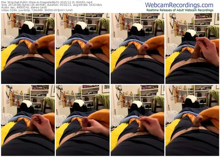 stripchat-diegodaddy01-12-21-2025-00-42-51