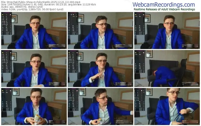 stripchat-felixstarkk-12-21-2025-11-13-00