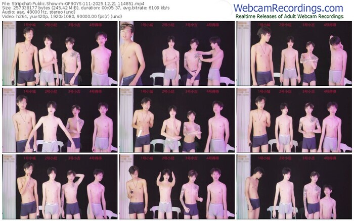 stripchat-gfboys-111-12-21-2025-11-48-51