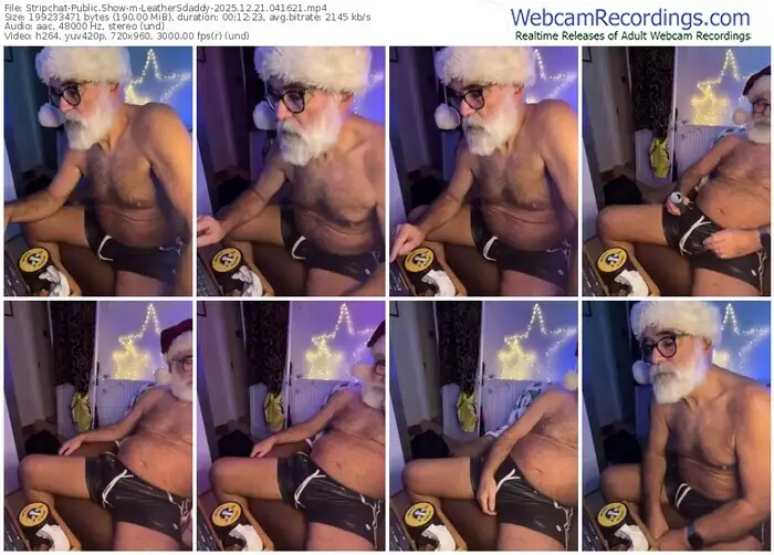 stripchat-leathersdaddy-12-21-2025-04-16-21