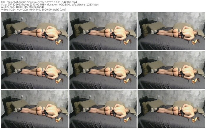 stripchat-pirtech-12-21-2025-04-43-06