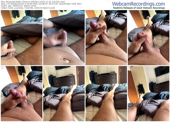 stripchat-spqr14-12-21-2025-10-15-31