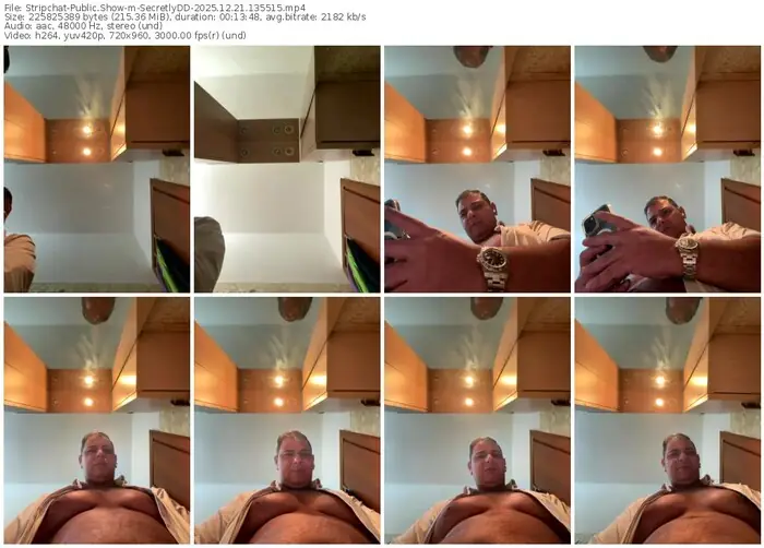 stripchat-secretlydd-12-21-2025-13-55-15