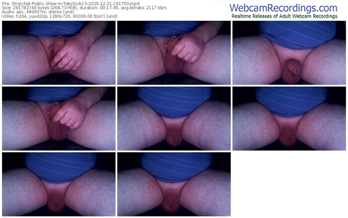 stripchat-tobydick13-12-21-2025-19-17-00