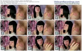 stripchat-vailyreb_-12-21-2025-08-46-00