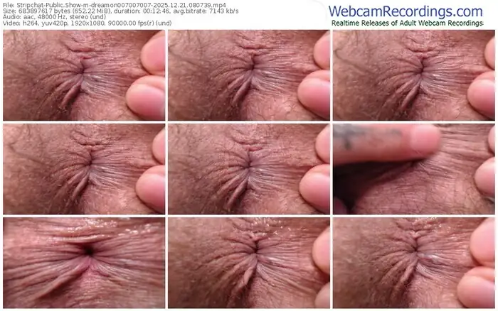 stripchat-dreamon007007007-12-21-2025-08-07-39