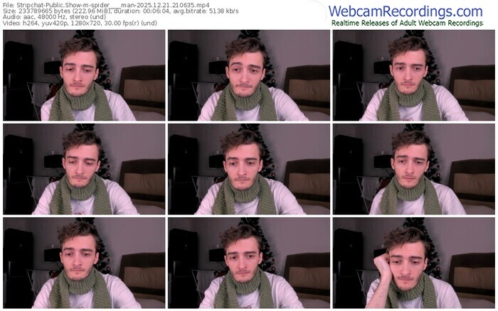 stripchat-spider____man-12-21-2025-21-06-35