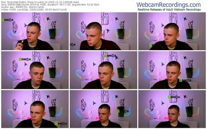 stripchat-veldi_to-12-21-2025-19-46-28