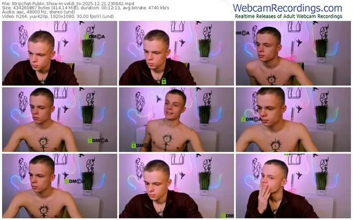 stripchat-veldi_to-12-21-2025-23-08-42