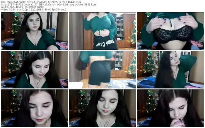 stripchat-howledduty-12-22-2025-14-04-45