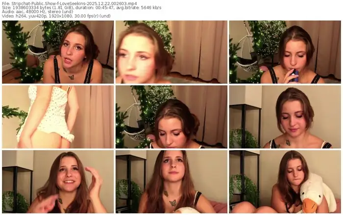 stripchat-loveseekins-12-22-2025-00-26-03