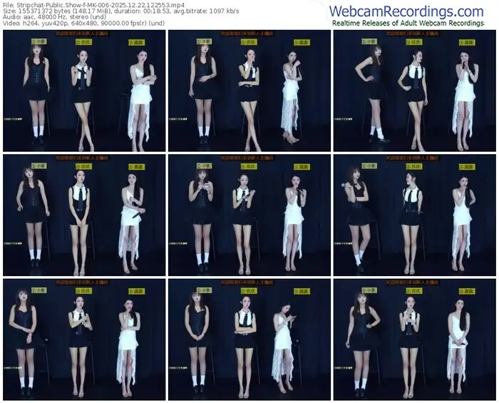stripchat-mk-006-12-22-2025-12-25-53