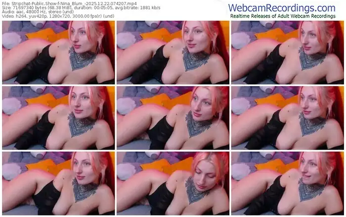 stripchat-nina_blum_-12-22-2025-07-42-07