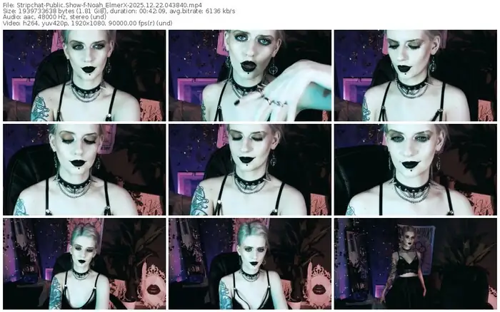 stripchat-noah_elmerx-12-22-2025-04-38-40