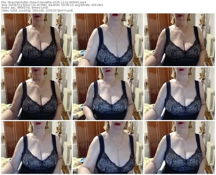 stripchat-secretfox-12-22-2025-06-04-42