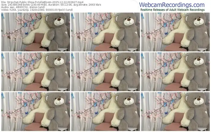 stripchat-viollabloom-12-22-2025-06-39-27