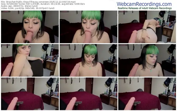 stripchat-freyaa_sorcerees-12-22-2025-09-37-29