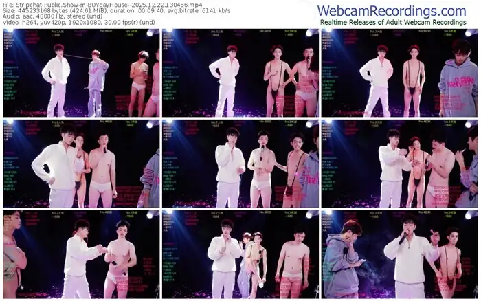 stripchat-boygayhouse--12-22-2025-13-04-56