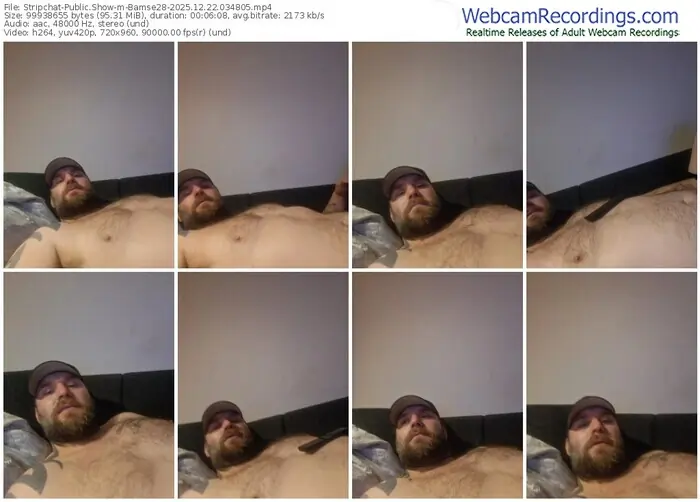 stripchat-bamse28-12-22-2025-03-48-05
