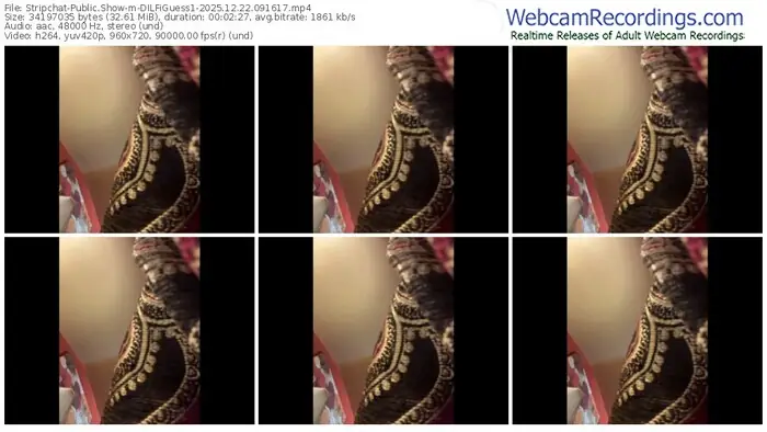 stripchat-dilfiguess1-12-22-2025-09-16-17