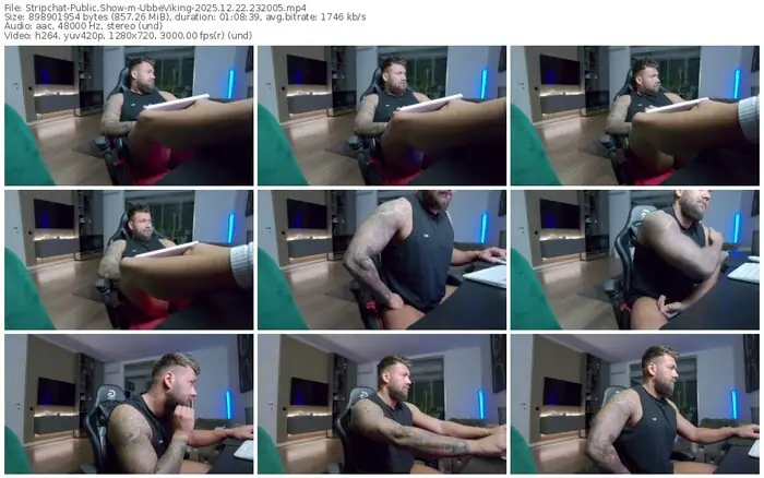 stripchat-ubbeviking-12-22-2025-23-20-05