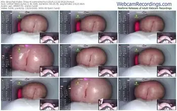 stripchat-controlmytoys-12-22-2025-20-21-29