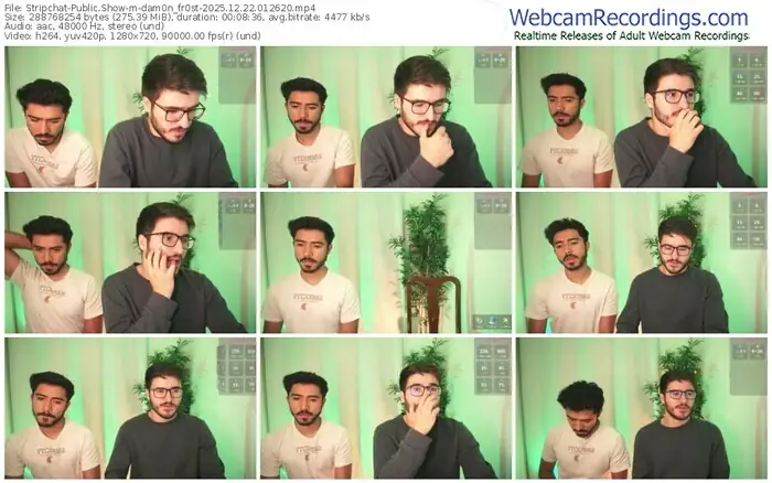 stripchat-dam0n_fr0st-12-22-2025-01-26-20