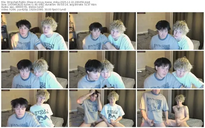 stripchat-miya_meow_miku-12-22-2025-20-04-59