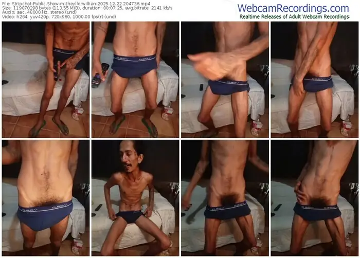stripchat-theyllorwillian-12-22-2025-20-47-36