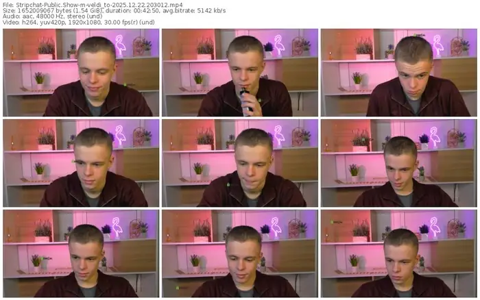 stripchat-veldi_to-12-22-2025-20-30-12