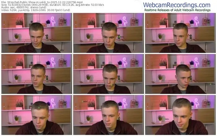 stripchat-veldi_to-12-22-2025-22-07-58