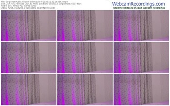 stripchat-selena_fox7-12-22-2025-06-25-42